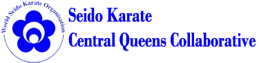 Seido Karate Queens, Karate for Kids & Adults